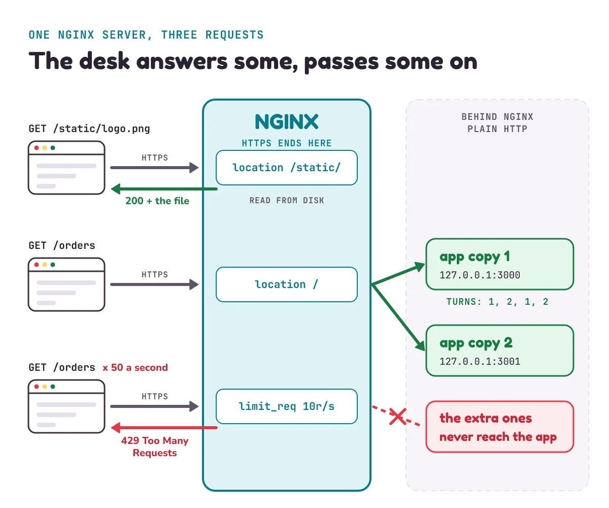 One NGINX server with three paths: GET /static/logo.png is answered straight from the disk; GET /orders is passed to app copy 1 or app copy 2, round-robin; a visitor sending 50 requests a second gets 429 Too Many Requests for the extra ones, which never reach the app. HTTPS ends at NGINX, and NGINX talks plain HTTP to the apps behind it