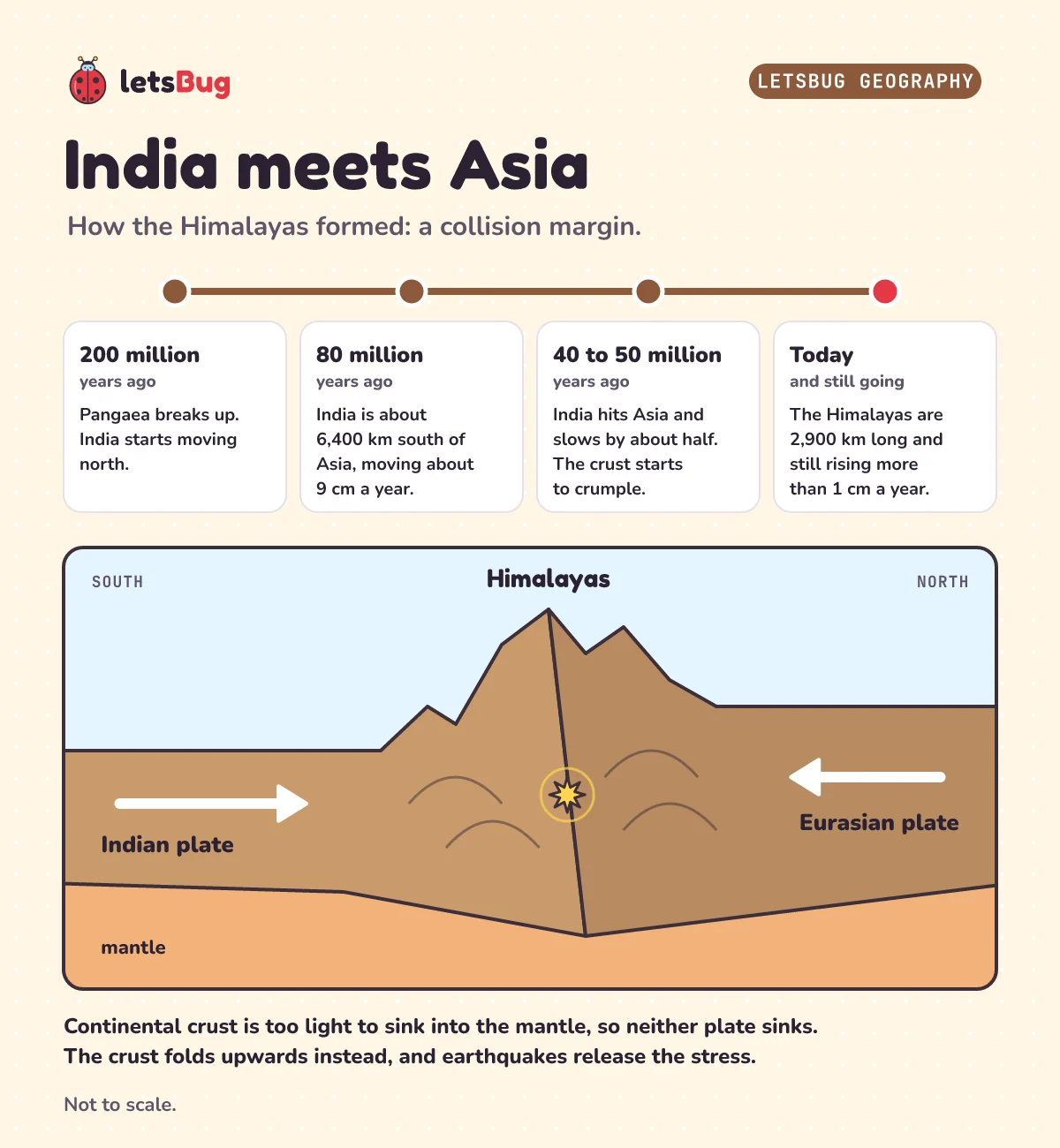 India meets Asia: a timeline from Pangaea breaking up 200 million years ago to India colliding with Asia 40 to 50 million years ago, with a cross-section of the Indian and Eurasian plates crumpling up into the Himalayas